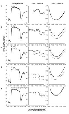 Recognition of Orobanche cumana Below-Ground Parasitism Through Physiological and Hyper Spectral Measurements in Sunflower (Helianthus annuus L.)